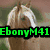 A four- of horse images with overlaid text: top-left shows a brown and white horse, top-right a running light-brown horse, bottom-left a brown pony in motion, all on natural backgrounds