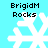 Four identical pixelated snowflakes on cyan background with "BrigidM Rocks" text above each, arranged in two of two