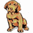 Four distinct dog images arranged in a : light brown puppy, black and tan Rottweiler, sleeping dark-coated dog, two small black puppies on stone