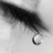 Black-and-white image of a teardrop falling from an eye with visible eyelashes, set against dark blue background with white stylized text.