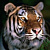 Static pixelated image of a tiger's face with visible stripes and facial features against a dark background.