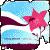 Six square icons display a star-shaped character with closed eyes and a small mouth, each on a different color-blocked background.