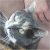 iconhell_pyroprincess_Kit