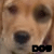 A pixelated close-up of a light brown dog's face with dark eyes and nose, featuring black text reading 'DOO' in the bottom-right corner.