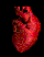 Red anatomical heart model with visible chambers and valves, rendered in pixelated style against black background, showing two distinct rotational poses.