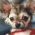 Pixelated close-up of a dog's face with light brown and white fur, dark eyes, black nose, and red collar against blurred background.