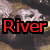 A pixelated image of a river otter with text overlay reading 'River Otter' in red and orange lettering.
