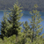 Pixelated static image of a landscape with trees and a blue sky background.