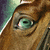 A close-up of a person's eye with light blue-green iris and brown hair, showing subtle animation changes