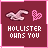 Pixelated maroon background with pink border, featuring a pixelated rabbit and heart symbol above text reading 'HOLLISTER OWNS YOU' in white block letters.