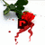 A pixelated image shows a red figure with green leaves, a black 'R' symbol, and red splatters on white background.
