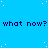 Blue background with white dots and repeated dark blue text 'what now?' in three , partially cropped on the right