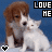 A static image of a brown and white dog with a small white cat, both facing forward against a blue background.