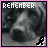 nine showing a dog's face with text overlays, some displaying 'HURRICANE KATRINA' in purple