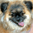 Pixelated dog face with tongue out on green background, surrounded by pixelated text reading "the only time my best friends make me cry is when i'm laughing too hard!".