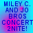Blue text on a blue-to-pink gradient background reads "MILEY C. AND JO BROS CONCERT 2NITE!" in four identical arranged in a