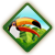 Diamond-shaped icon with green border showing toucan on grassy hill under light blue sky