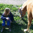 A pixelated image shows a person in blue clothing riding a light brown horse against green foliage, with white text on the right reading "The bond between horse and rider".