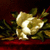 A pixelated golden trophy with a curved base and two side handles, surrounded by green foliage on a dark red background.