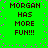 Green background with pink pixel dots and black text reading "MORGAN HAS MORE FUN!!!" in four identical quadrants.