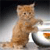 A pixelated orange tabby cat stands upright on hind legs with front paws raised, facing forward against a blurred gradient background.