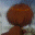 Animated sequence of a character with brown hair transitioning through multiple expressions and poses against a cloudy sky background.