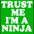 Green background with white pixelated text and symbols: "TRUST ME I'M A NINJA" on left, "=}D mustache!" top right, "0>" middle right, "ice cream!" bottom right.