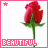 12 identical rose images with pink borders, each displaying the word 'BEAUTIFUL' in pixelated text below a red rose on white background