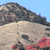 Pixelated landscape with rocky terrain, light-colored ground, and red vegetation under a blue sky.