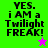 Four display 'YES. i AM a Twilight FREAK!' text with a star icon; top-left and bottom-left have green and purple backgrounds respectively, while top-right and bottom-right have gray backgrounds