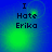 Four- of blue backgrounds with green light effects and pixelated text reading "I Hate Erika" in each