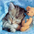 Animals icons for AIM, MSN, MySpace and Yahoo