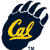 A dark blue shield-shaped icon with yellow script text 'Cal' and white flame-like accents at the top.