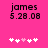 Pixelated text 'james' and date '5.28.08' on bright pink background with five white plus signs, one of which is light pink.
