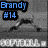 Pixelated static image with blue text 'Brandy' and '#14', grayscale background, white pixelated text at bottom.