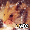 A small hamster with brown and white fur appears in a of four , each showing the word 'cute' with varying text color highlights