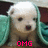 A pixelated puppy with white fur and brown eyes appears in a teal fabric setting, with pink text overlays changing across frames.