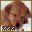 iconhell_sexeyforlyfe_zzz