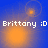 Blue background with orange circular light effects and white text reading "Brittany :D" in pixelated font.