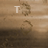 Animated contact sheet showing progressive text reveal of 'THE SPILL CANVAS' in white sans-serif font over a sepia-toned background with faint circular patterns.