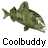 A 4x3 contact sheet of a fish animation showing 12 sequential frames with varying motion blur and orientation, each labeled "Coolbuddy" below the icon.