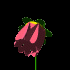 Pixelated flower icon with pink petals, yellow center, and green stem transitions from closed bud to full bloom