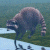 A pixelated raccoon stands on a light blue surface against a greenish background, with bright green text reading 'Original Icons .com' on the right side.