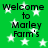 Green background with white stars and repeated black text reading "Welcome to Marley Farm's" in a pixelated font.