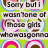 A green background with repeated circular icons featuring pink, brown, and blue rings around a central face-like shape. Text overlays in white boxes read "Sorry but I wasn't one of those girls who was gonna" on the left and "follow u around or hunt u down when ur not there and when we broke up I wasn't the crying cut..." on the right.
