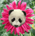 Pixelated panda face with black eye patches and ears, surrounded by bright pink flower-like petals against a green background.