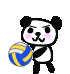 Pixelated panda character with pink cheeks and black-and-white fur holds or interacts with blue-yellow volleyball in various poses