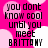 Pixelated text on a pink background with white and light pink circular shapes, reading "you dont know cool until you meet BRITTANY" in black block letters.