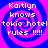 Four identical pixelated display a blue and pink spiral background with white text reading "Kaitlyn knows tokio hotel rules !!!!"