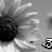 Grayscale pixelated image with abstract shapes including a large dark mass on the left, light streaks across the center, and a checkered pattern in the bottom right corner.